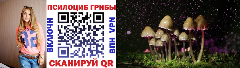 KRAKEN рабочий сайт  Аткарск  Галлюциногенные грибы мицелий 